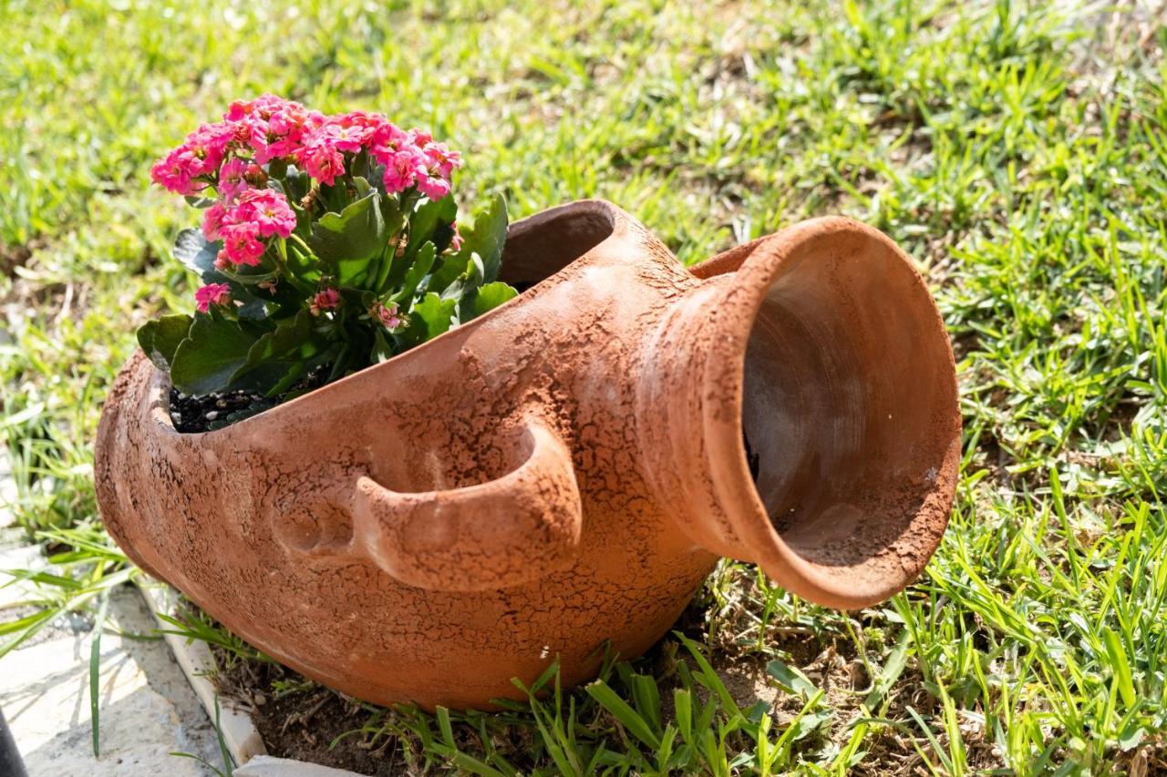 Nikoleta A *
